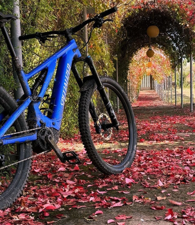 specialized turbo electric mtb