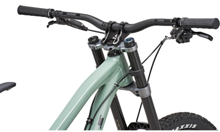 vitus dominer dh bike brakes